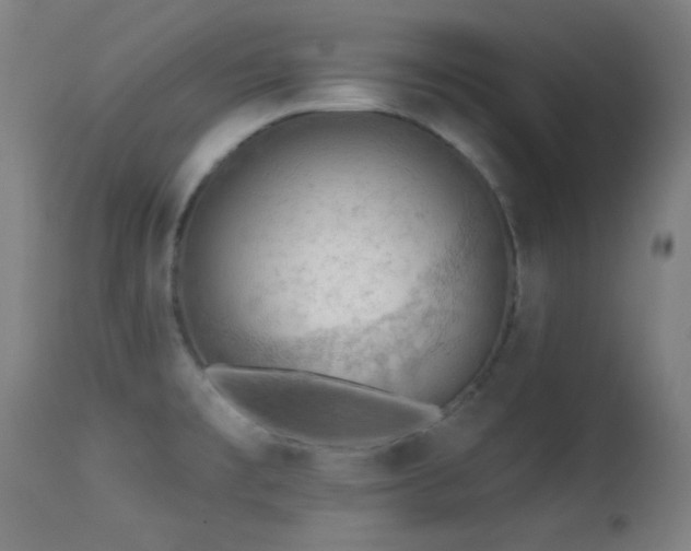 X0000113361477200909221147