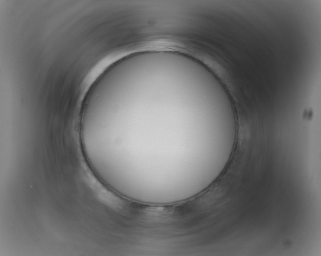 X0000113361478200909221147