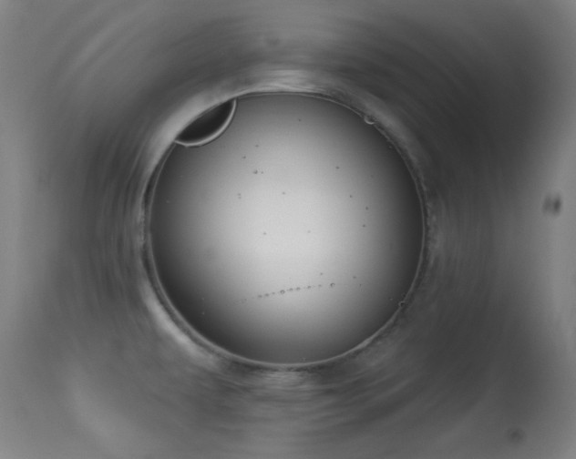 X0000113361479200909221147