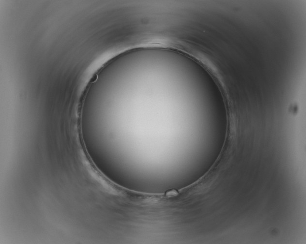X0000113361480200909221147