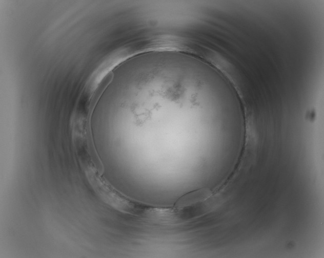 X0000113361481200909221147