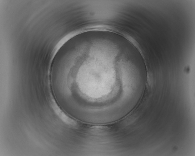 X0000113361482200909221147