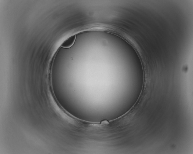X0000113361483200909221147