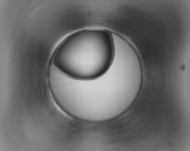 X0000113361484200909221147