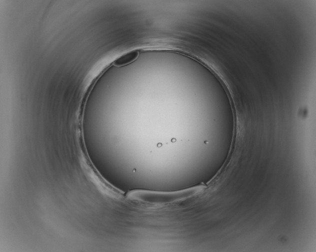X0000113361485200909221147