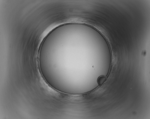 X0000113361486200909221147