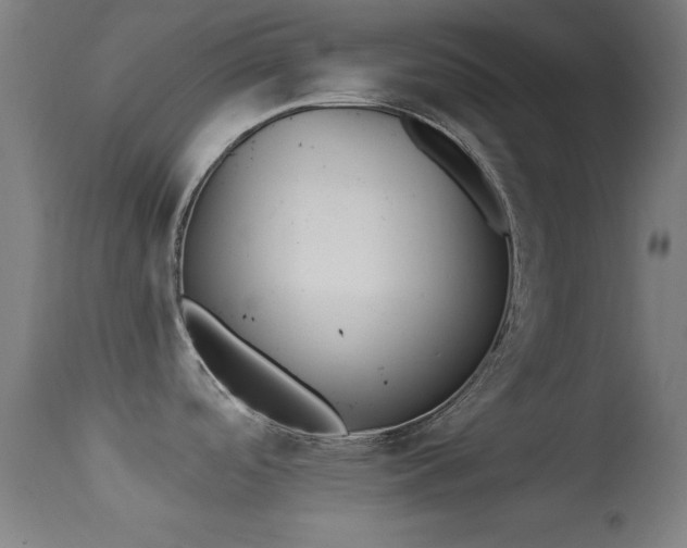 X0000113361488200909221146