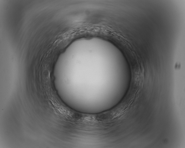 X0000113361489200909221145