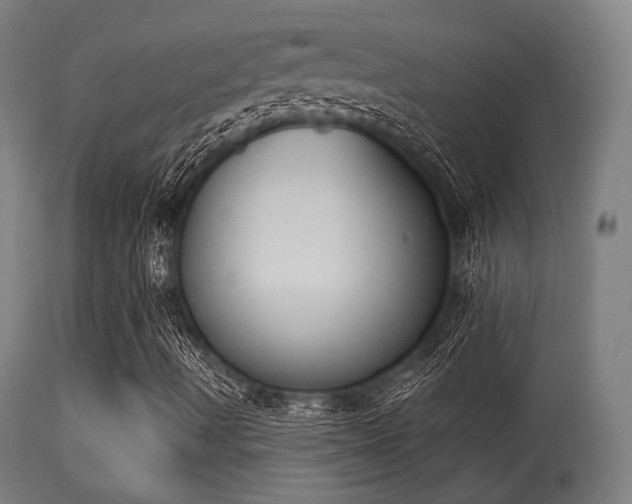 X0000113361490200909221145