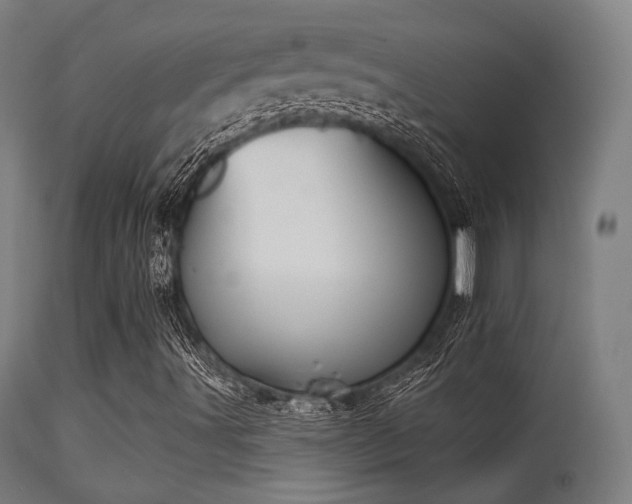 X0000113361491200909221145