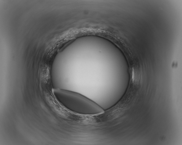 X0000113361492200909221145