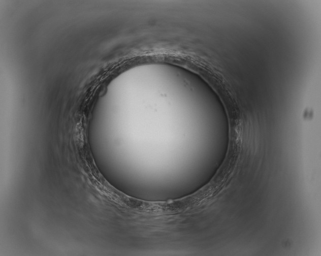 X0000113361493200909221145