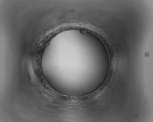 X0000113361494200909221145