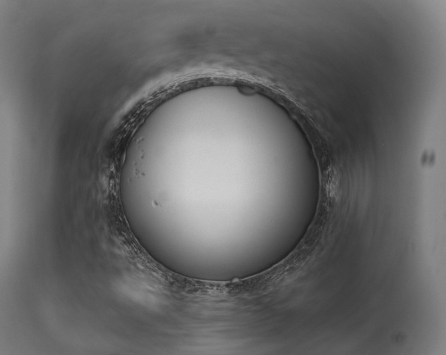 X0000113361495200909221145