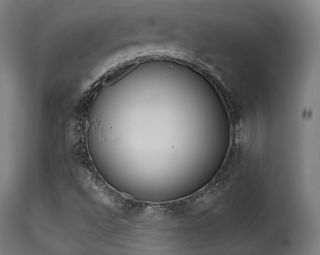 X0000113361496200909221145