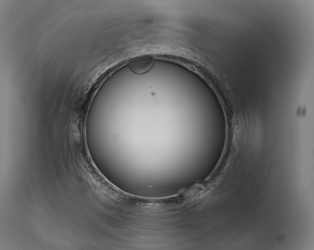 X0000113361497200909221145