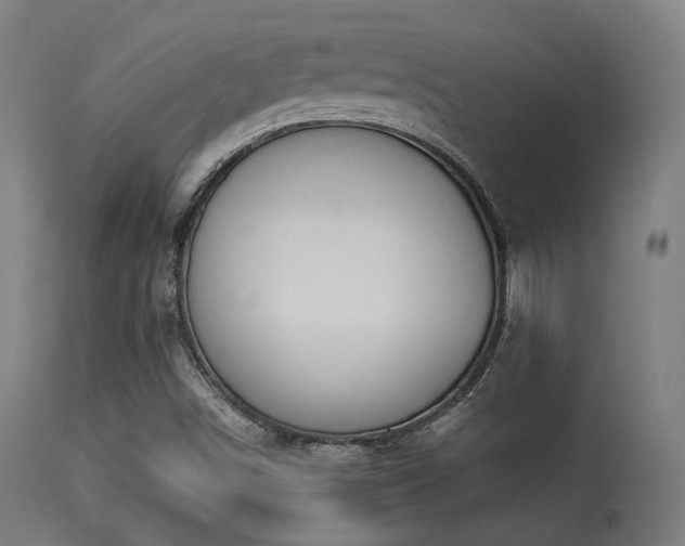 X0000113361498200909221145