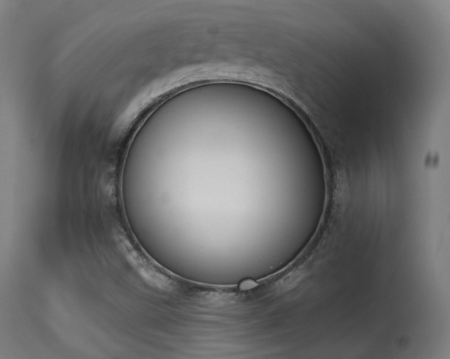 X0000113361499200909221145