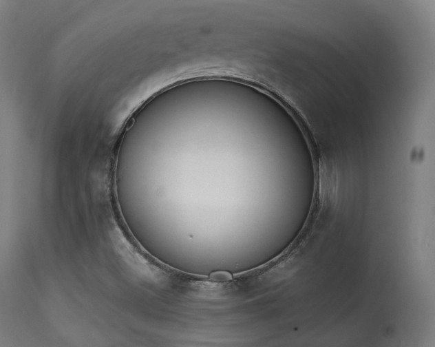 X0000113361500200909221145