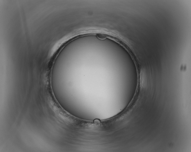 X0000113361501200909221145