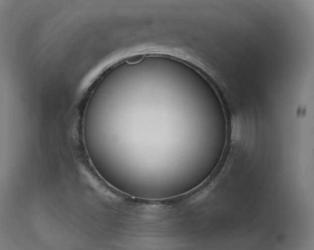 X0000113361502200909221145