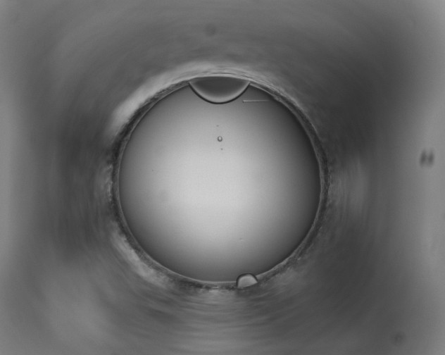 X0000113361503200909221146