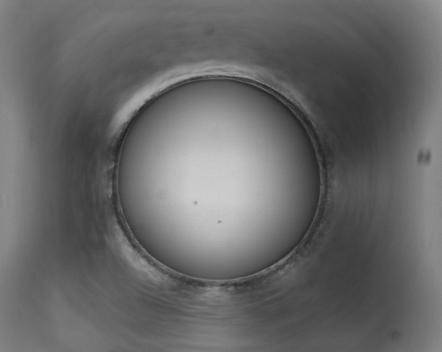 X0000113361504200909221146