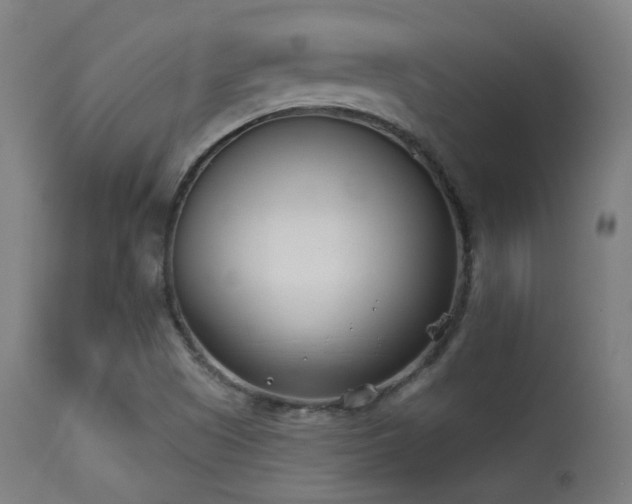 X0000113361505200909221146