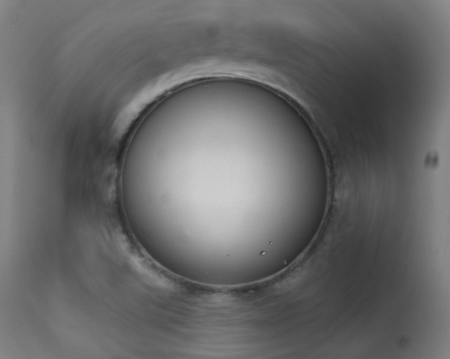 X0000113361507200909221146