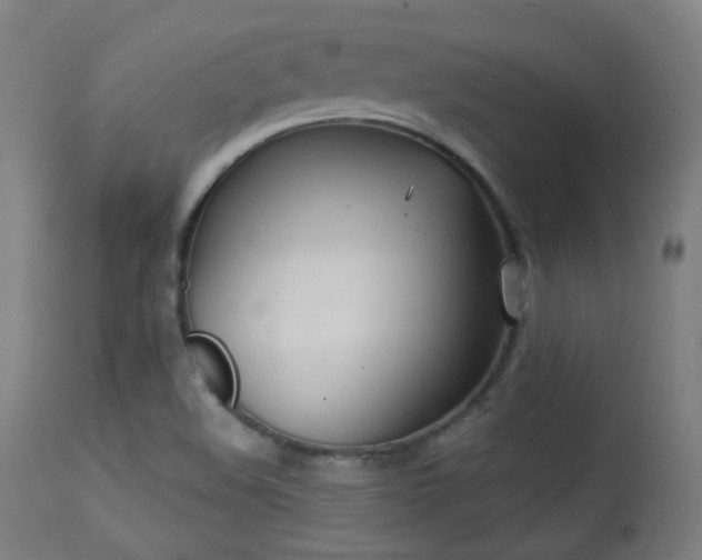 X0000113361508200909221146
