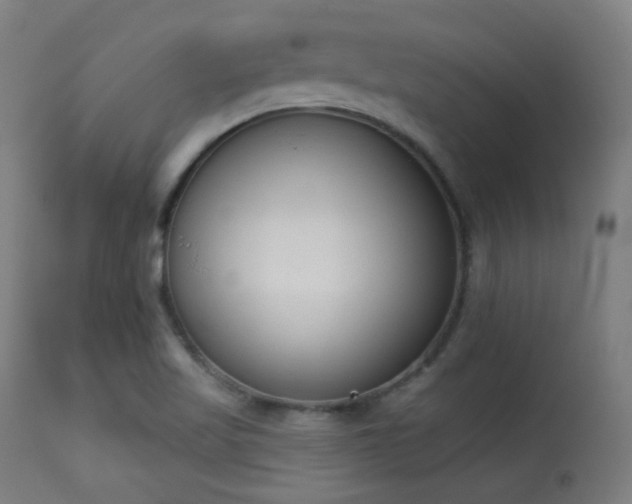 X0000113361509200909221146