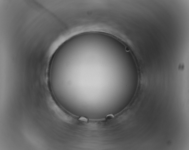 X0000113361512200909221146