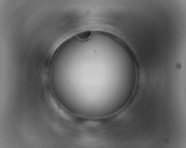 X0000113361513200909221146