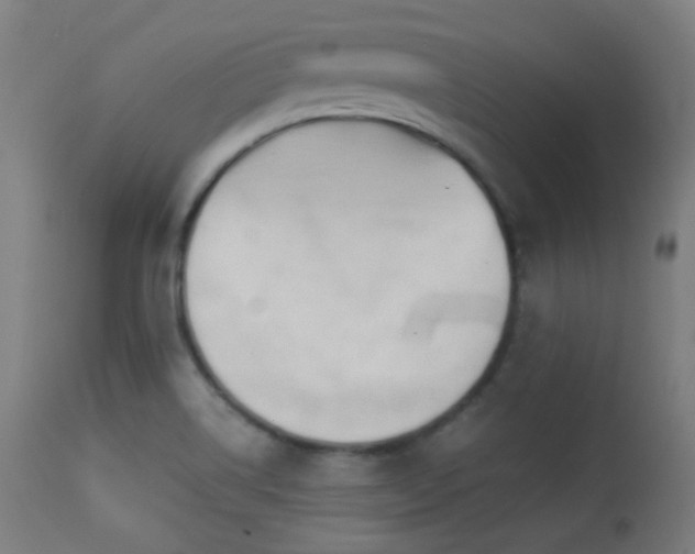X0000113361514200909221146