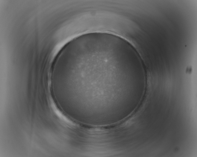 X0000113361515200909221146