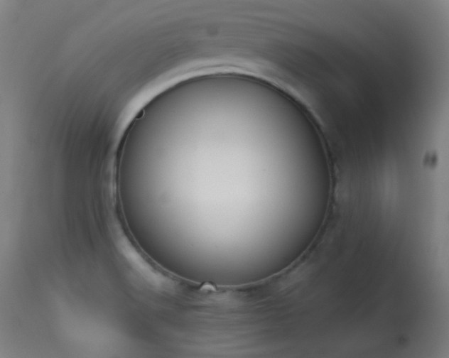 X0000113361516200909221146