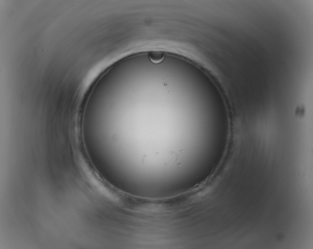 X0000113361517200909221146
