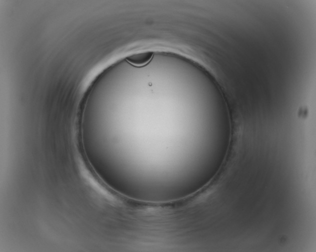 X0000113361518200909221146