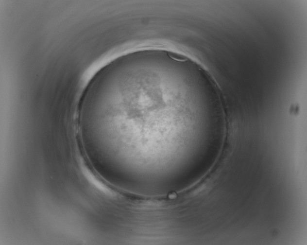X0000113361519200909221146
