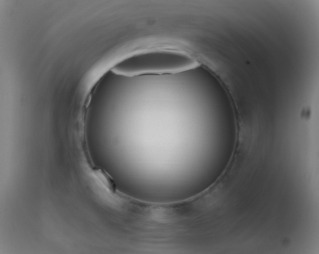 X0000113361520200909221146