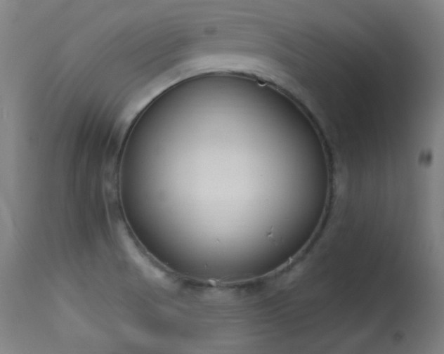 X0000113361521200909221146