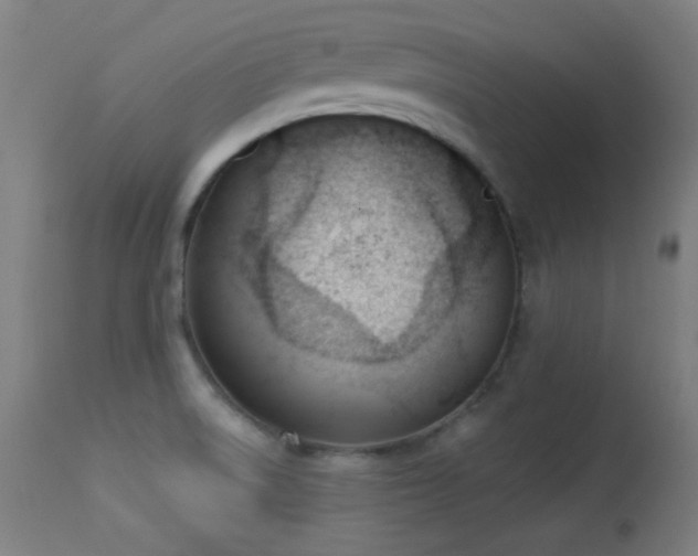 X0000113361522200909221146