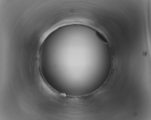 X0000113361524200909221146