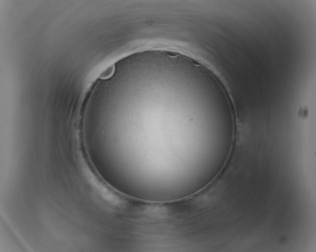 X0000113361525200909221146