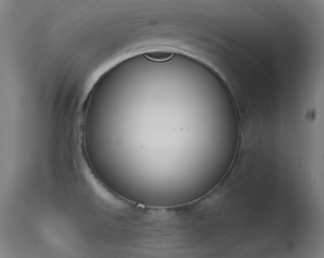 X0000113361526200909221146