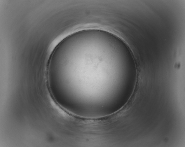 X0000113361527200909221146