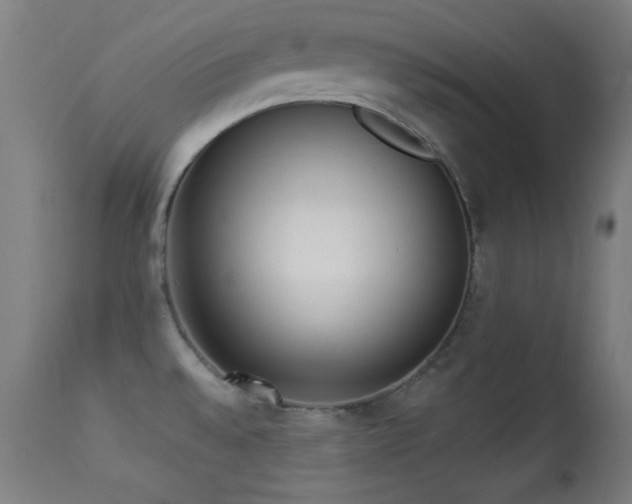 X0000113361528200909221146