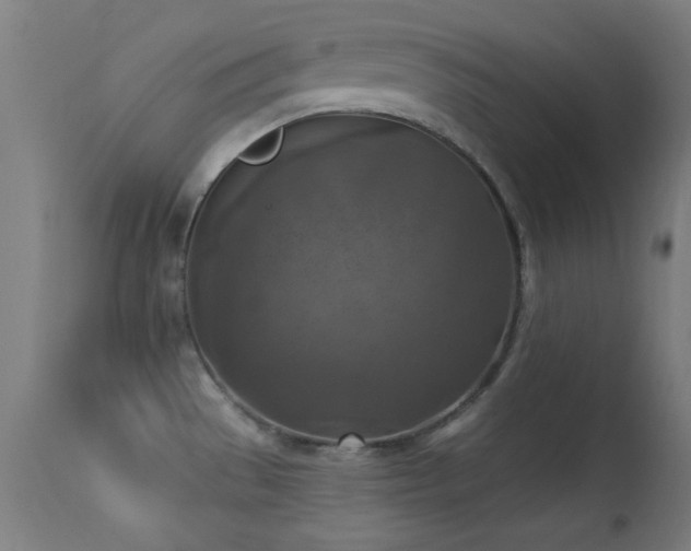 X0000113361529200909221146