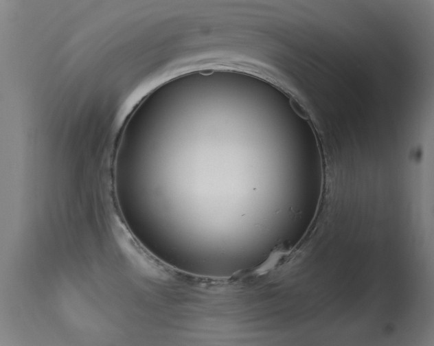 X0000113361530200909221146
