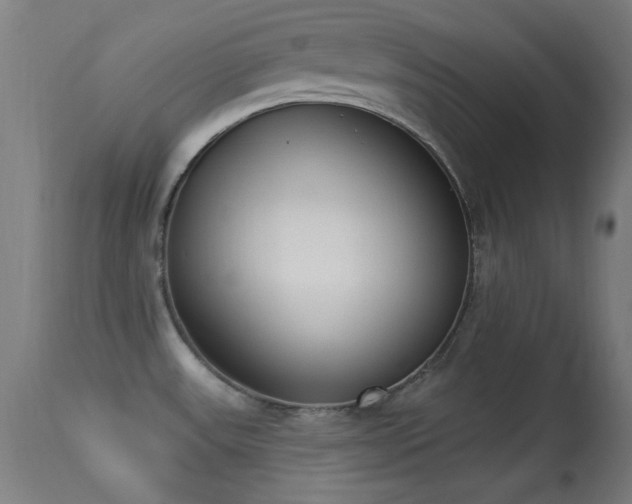 X0000113361531200909221146